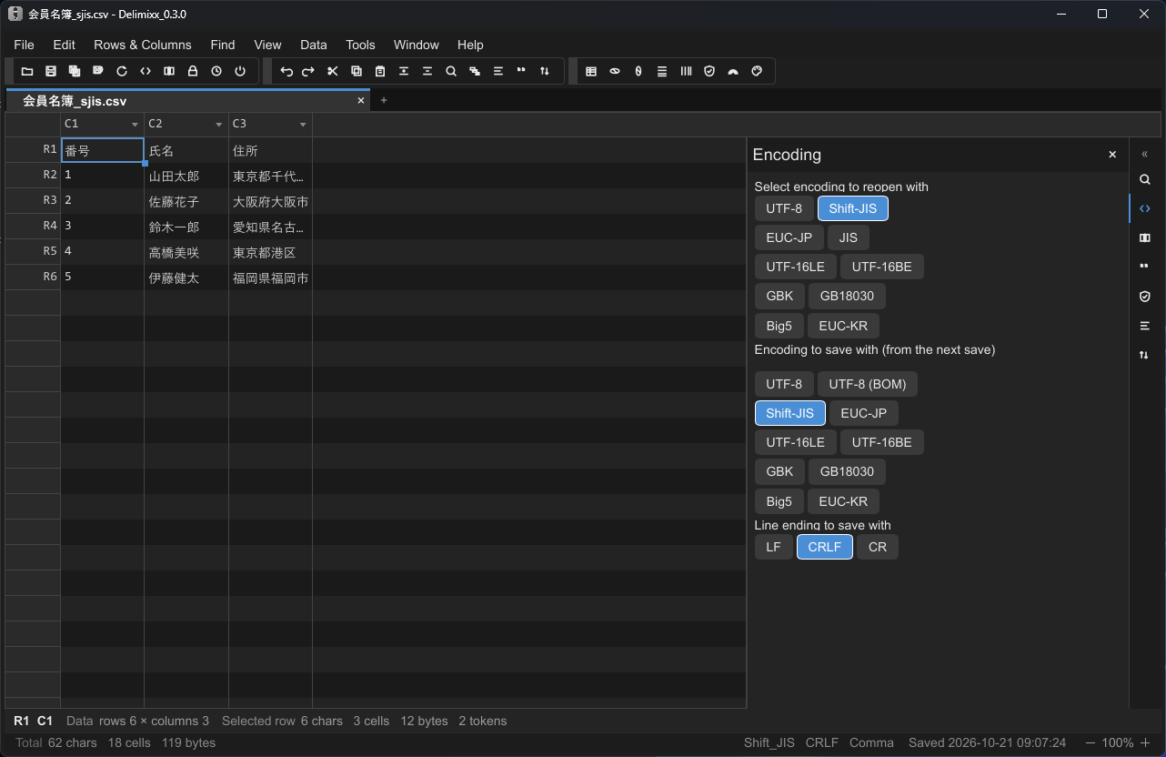 The encoding panel showing the detected encoding of a file